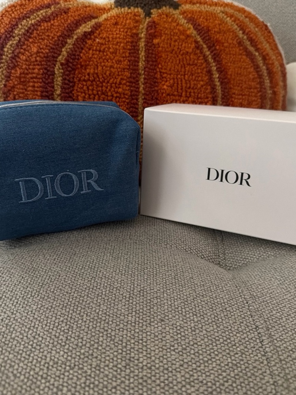 Dior Denim Makeup bag